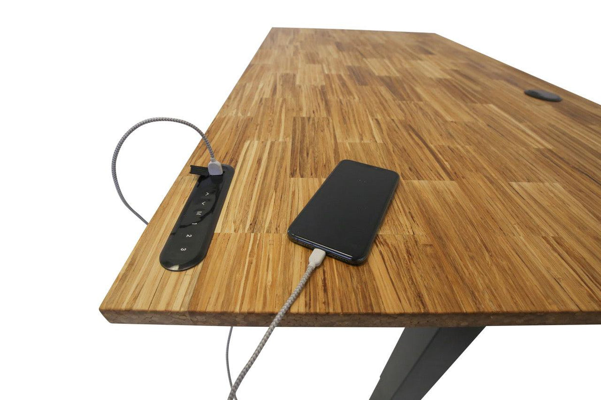 TerraDesk | Eco-Friendly Height-Adjustable Electric Standing Desk by EFFYDESK - Vysn