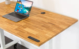 TerraDesk | Eco-Friendly Height-Adjustable Electric Standing Desk by EFFYDESK - Vysn