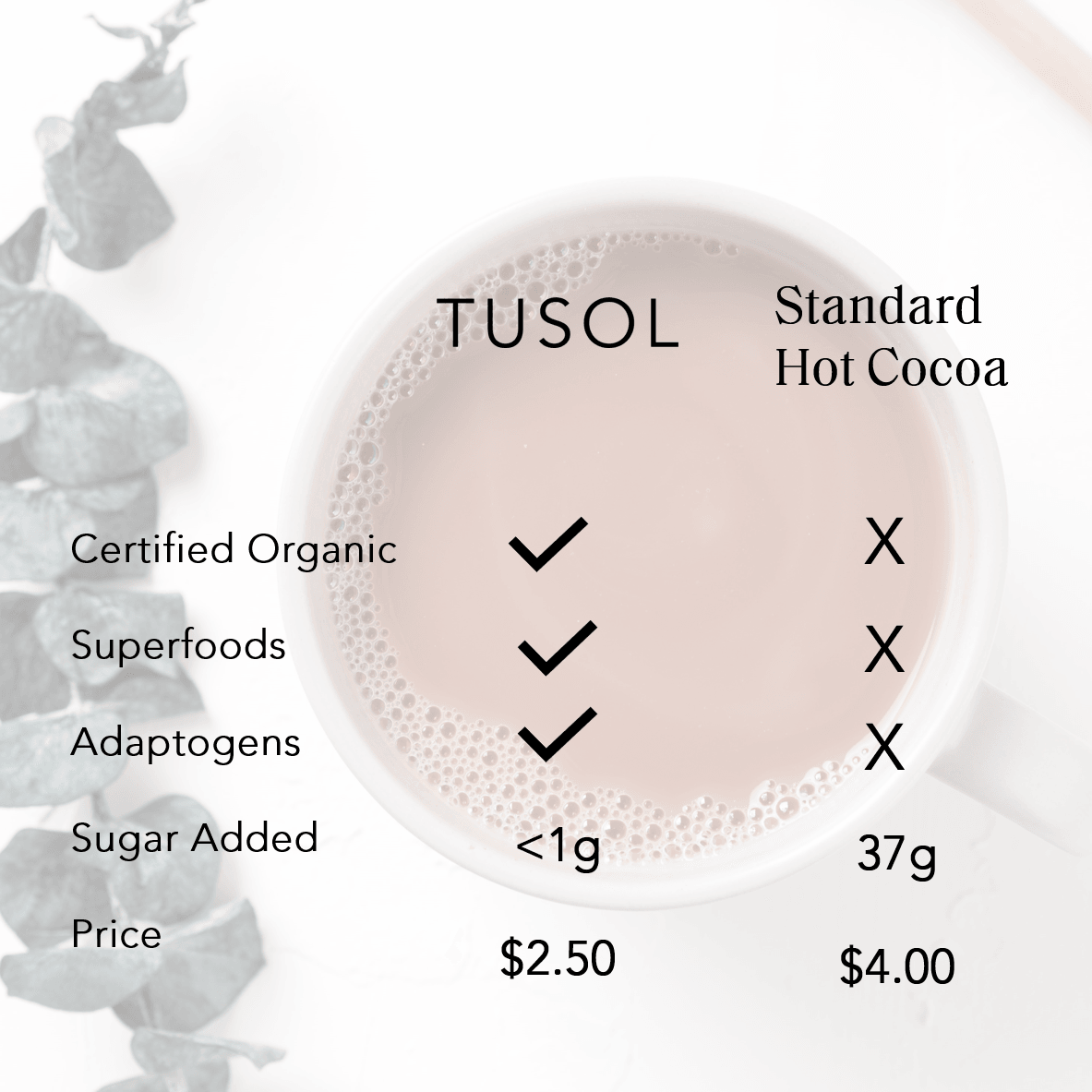 TUSOL Organic Latte Kit (52 Lattes) by TUSOL Wellness - Vysn