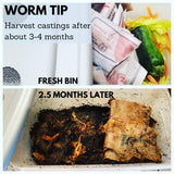 Under the Counter Worm Bin Starter Bundle by Elm Dirt - Vysn